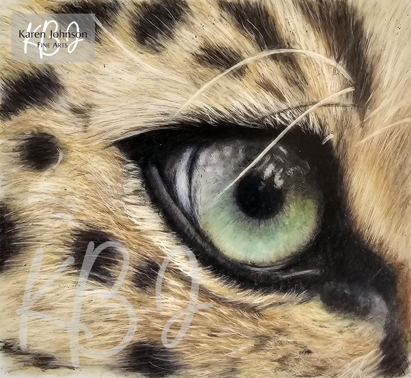 Pencil drawing claose up of a leopard's eye