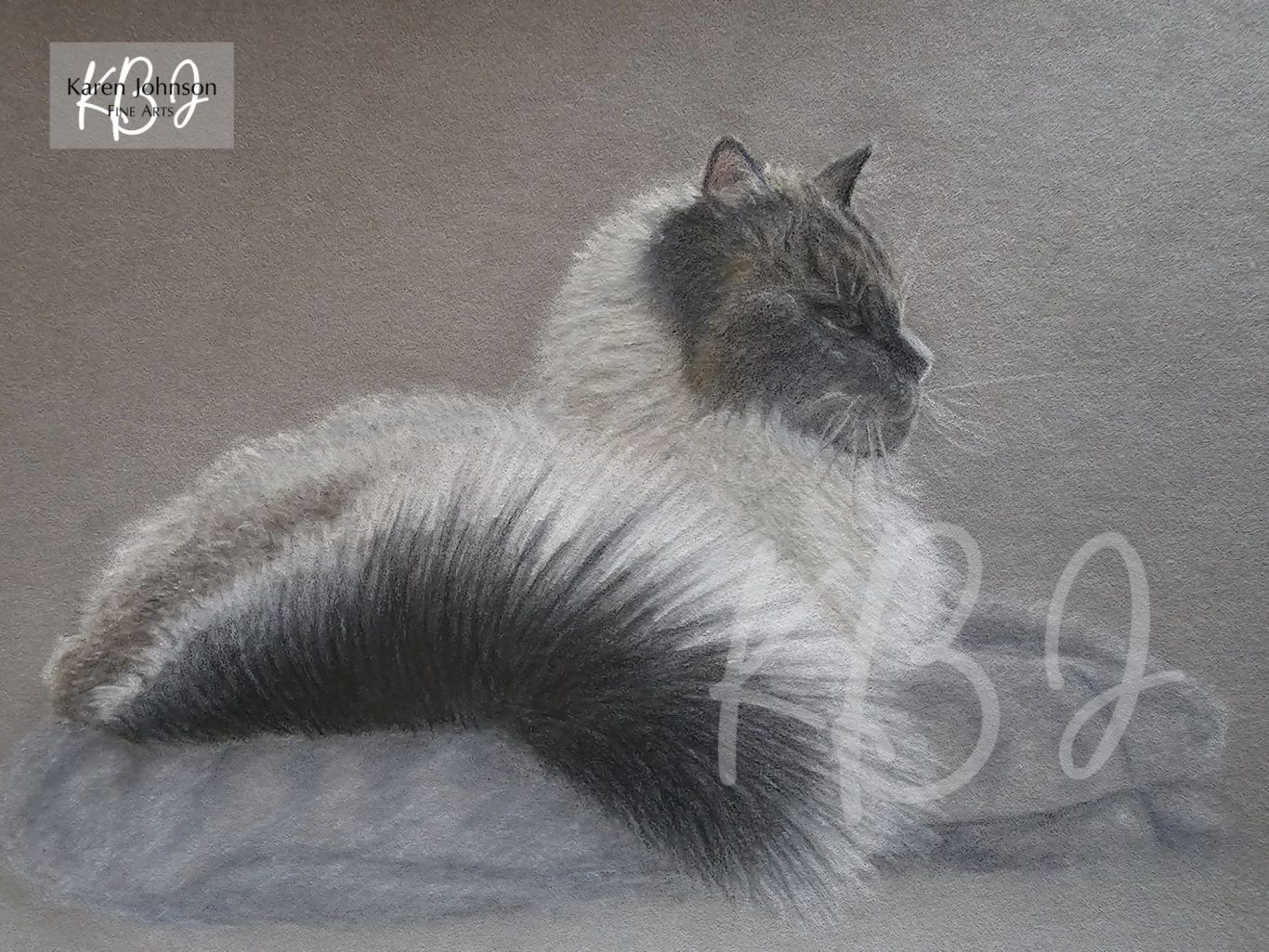 Pencil drawing of a ragdoll cat