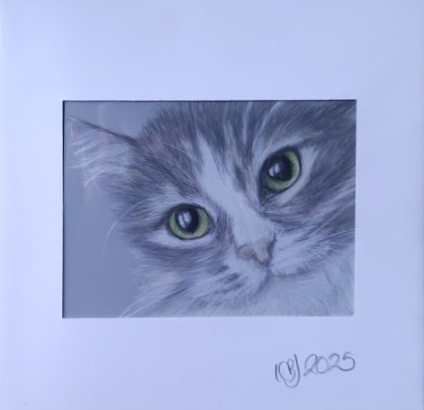 Green eyed cat